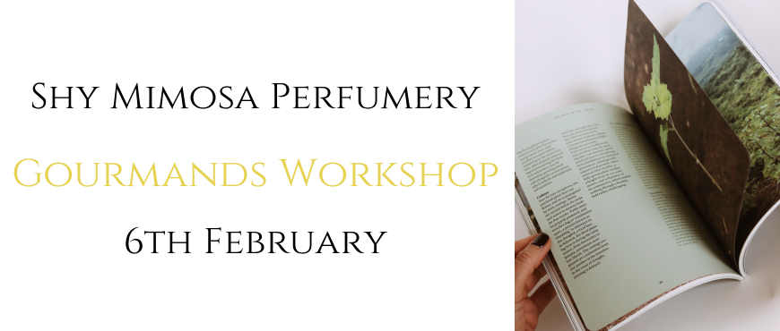 The Modern Gourmands Workshop